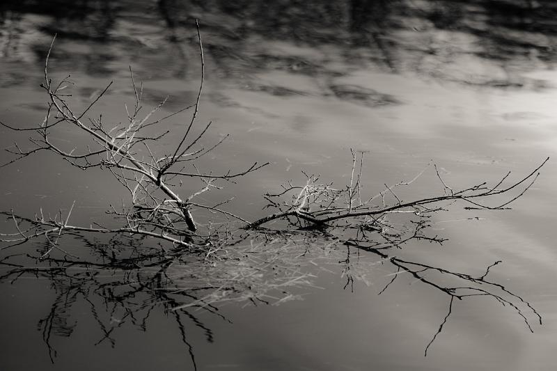 2018_01_27_Lac de Panneciere (0033).jpg - Lac de Pannecière (janvier 2018)